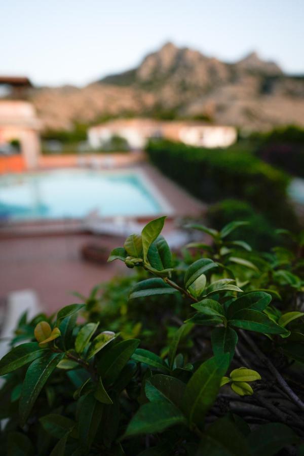 Domus Smeralda Porto Cervo Dış mekan fotoğraf