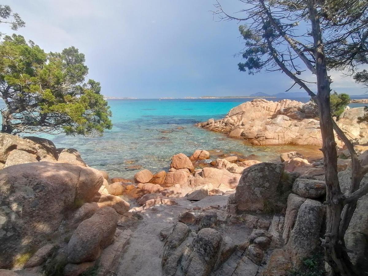 Domus Smeralda Porto Cervo Dış mekan fotoğraf