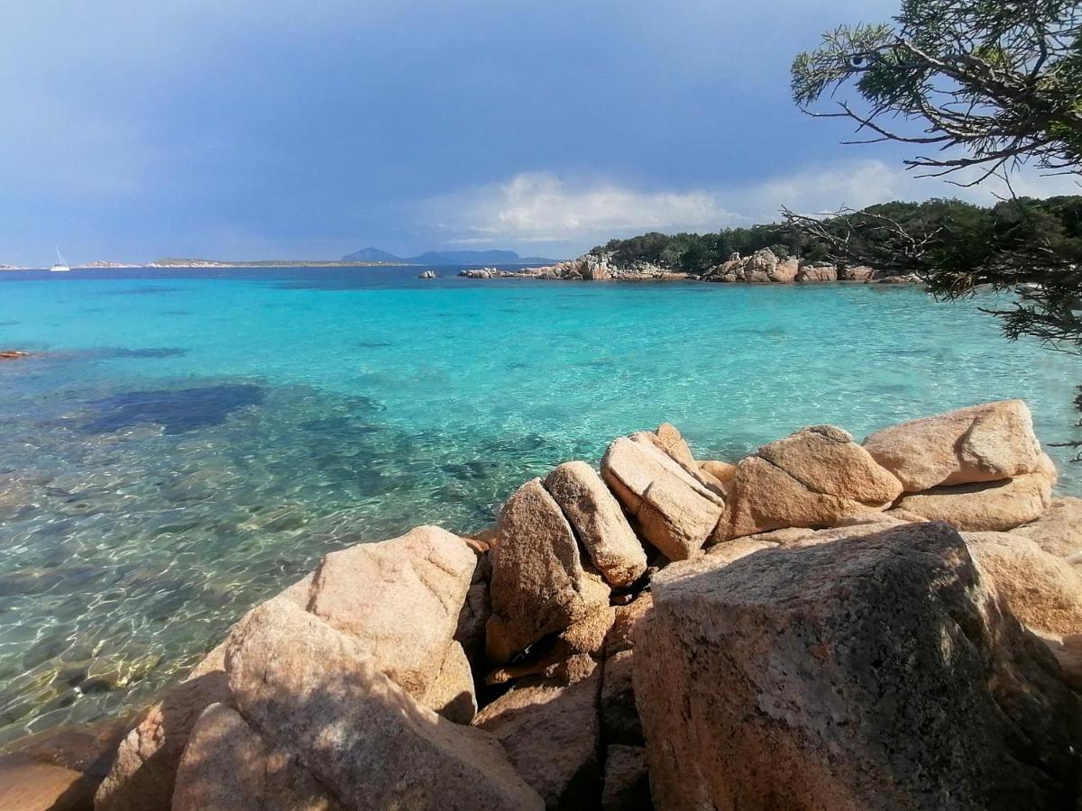 Domus Smeralda Porto Cervo Dış mekan fotoğraf