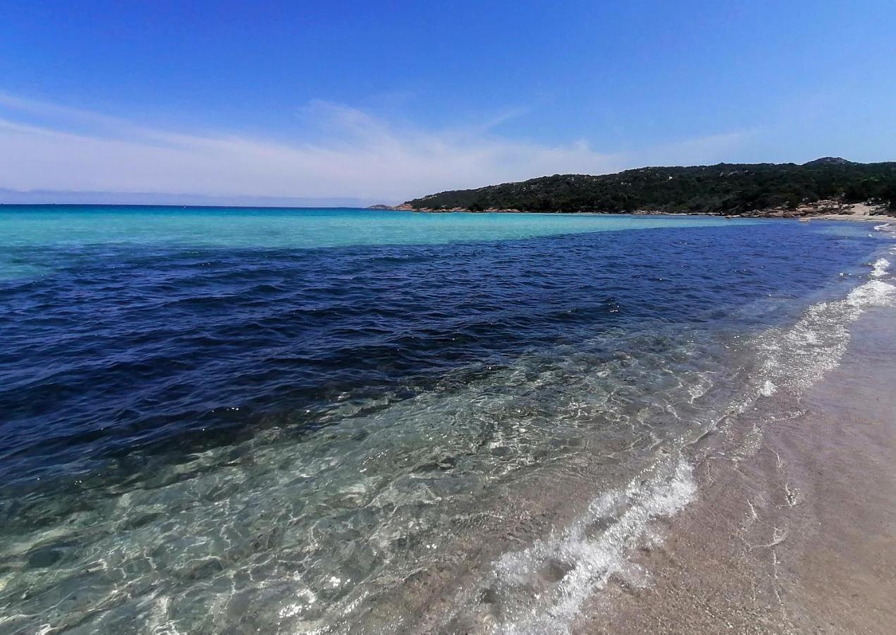 Domus Smeralda Porto Cervo Dış mekan fotoğraf